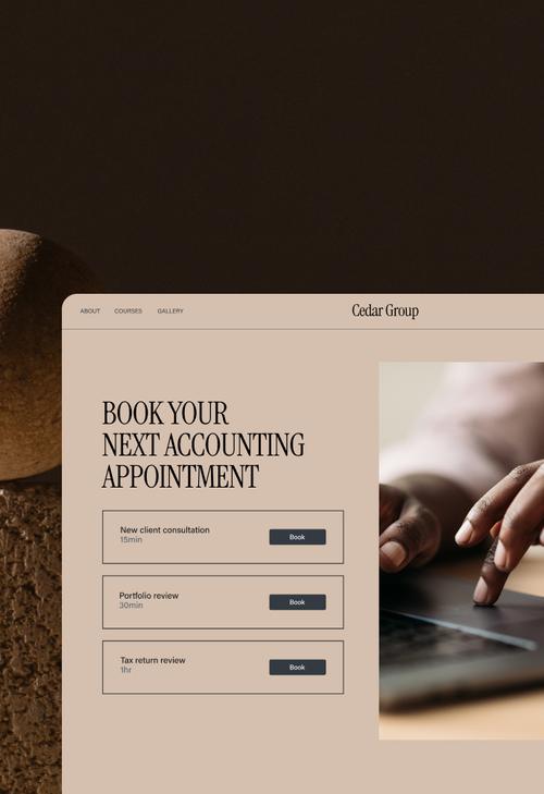 Webpage for booking accounting appointments with options for consultation, portfolio review, and tax return review.